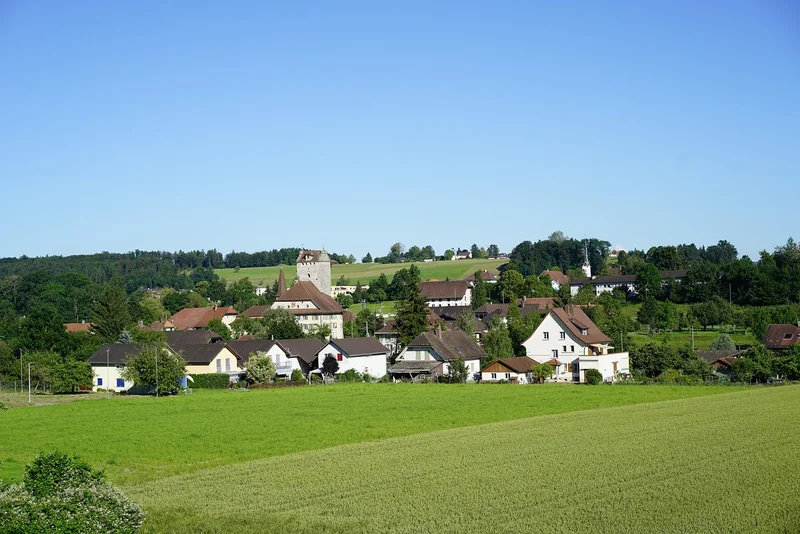Réseaux sociaux pour les entreprises locales : construire une communauté, pas une foule